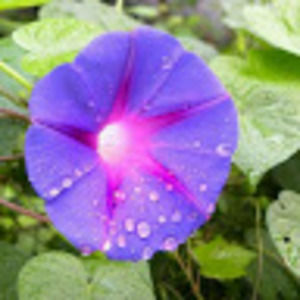 Meet your Posher, Sherry